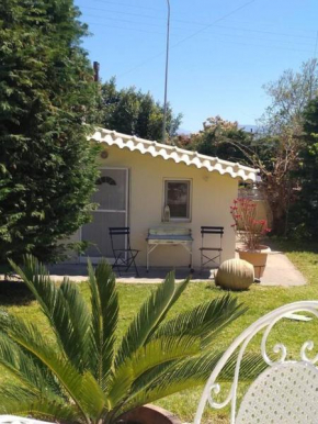Cosy Garden Studio